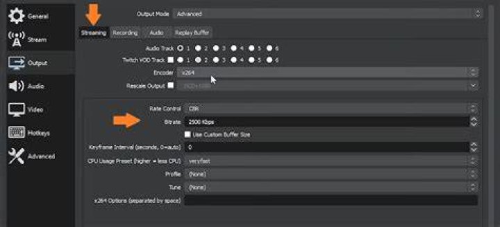Choosing playback quality for smoother streaming