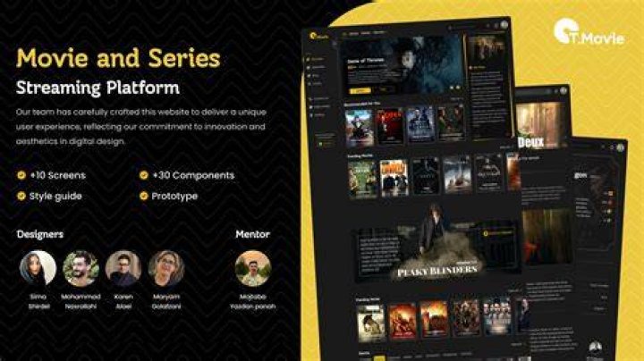 People browsing an online movie streaming platform experience