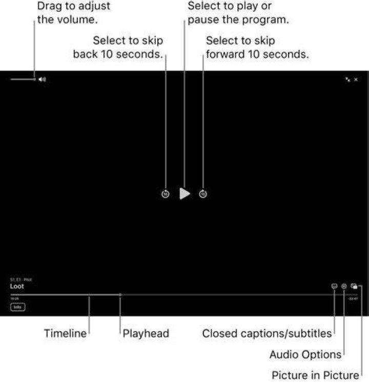 Playback controls to confirm during first-time streaming