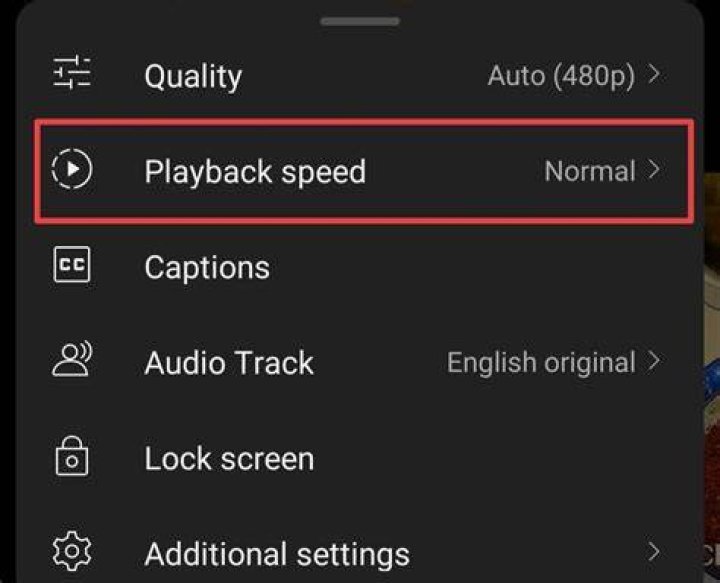 Playback controls like seek, speed, and resume behavior