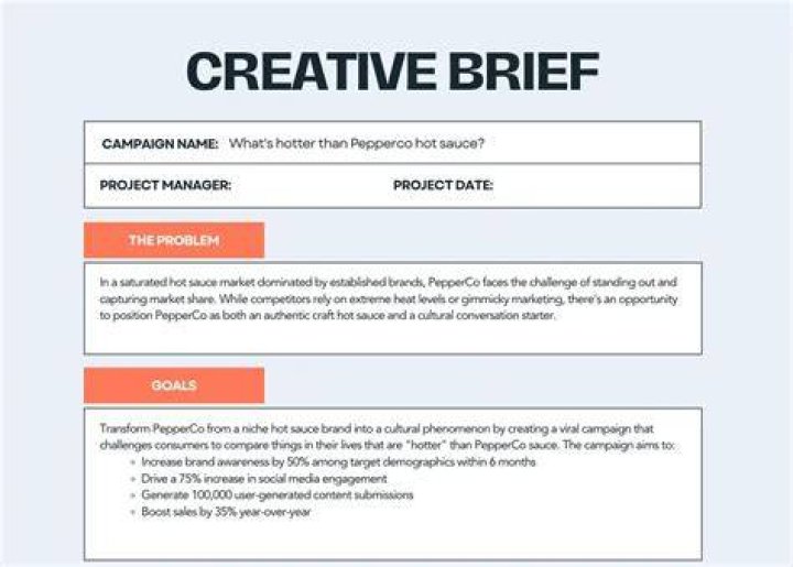 A creative brief layout showing what to include